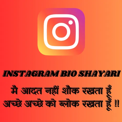 Instagram Bio Shayari