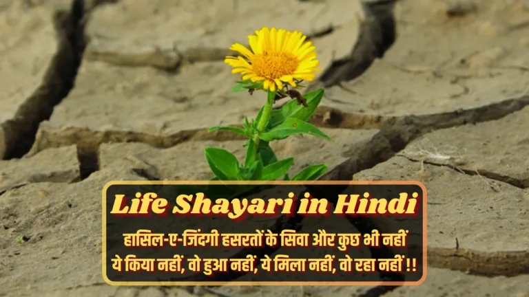 Life Shayari in Hindi