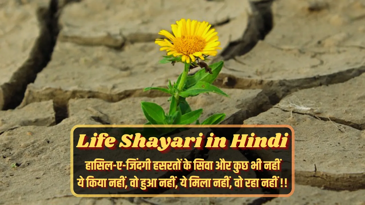 Life Shayari in Hindi